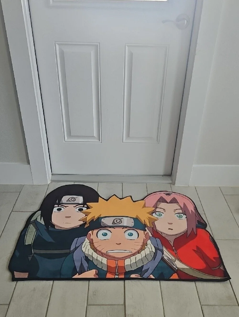 N/A anime door